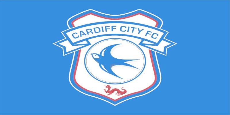 Cardiff City FC: The Rise of a Football Powerhouse