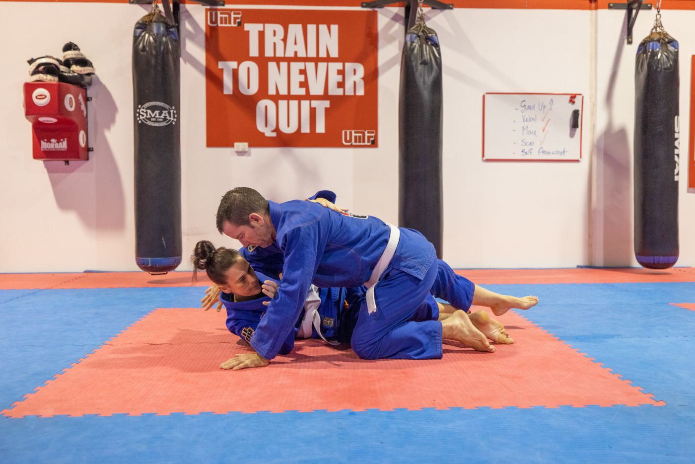 bjj sports